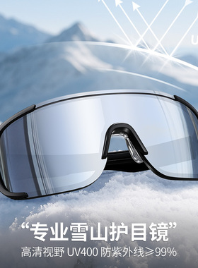 登山雪山护目镜高清防雪盲东北