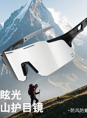 专业登山护目镜防眩光防紫外线