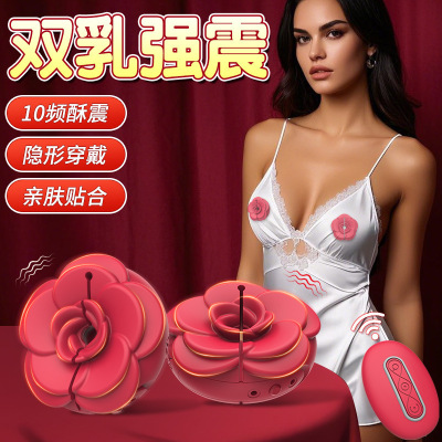 Powerful Dildo Vibrator Sex Toys For Women G-Spot Clitoris