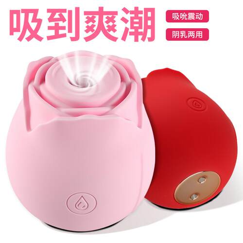 DChuanqi Bullet Massager Strong Vibration Vibrator Women’s