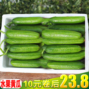 【5斤包邮】现摘新鲜水果黄瓜
