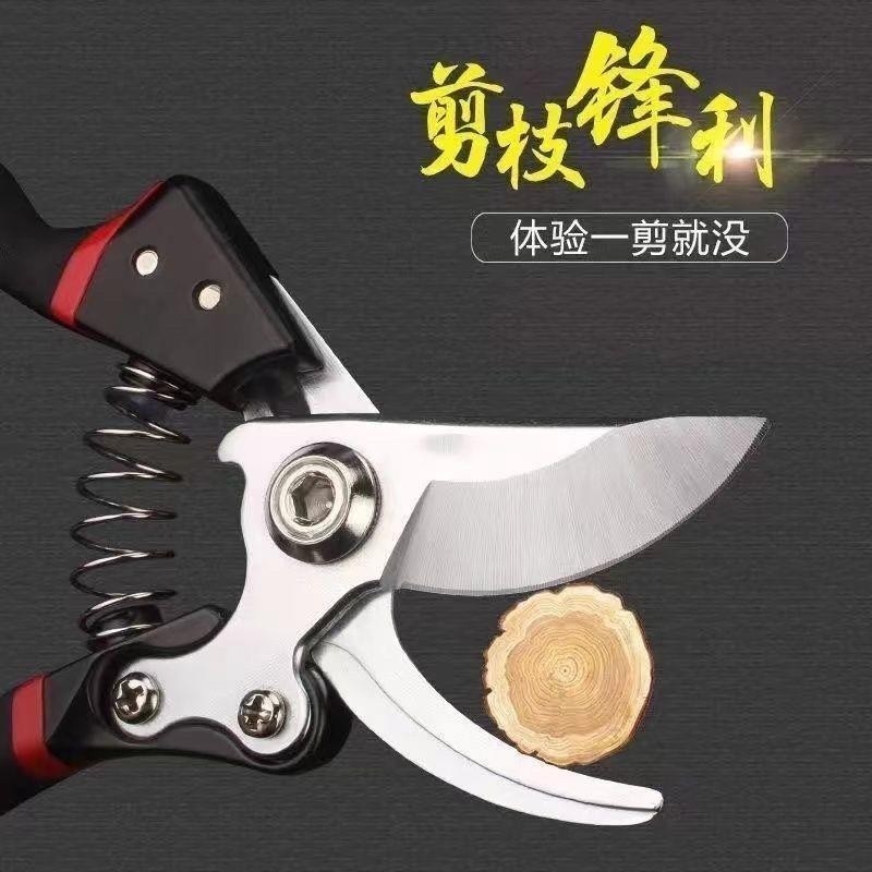 家用修花剪刀强力加厚钢果树修枝剪粗枝大剪刀园林园艺修花剪家用