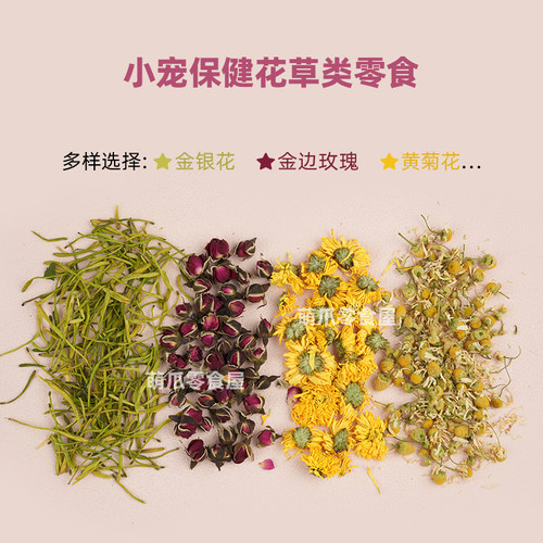 兔子龙猫荷兰猪保健花草守护健康