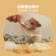 仓鼠零食无糖椰丝椰子片蜜袋鼬花枝鼠松鼠龙猫磨牙伴粮食营养食物
