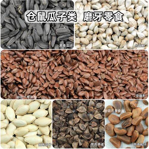 仓鼠磨牙零食黑瓜子亚麻籽饲料