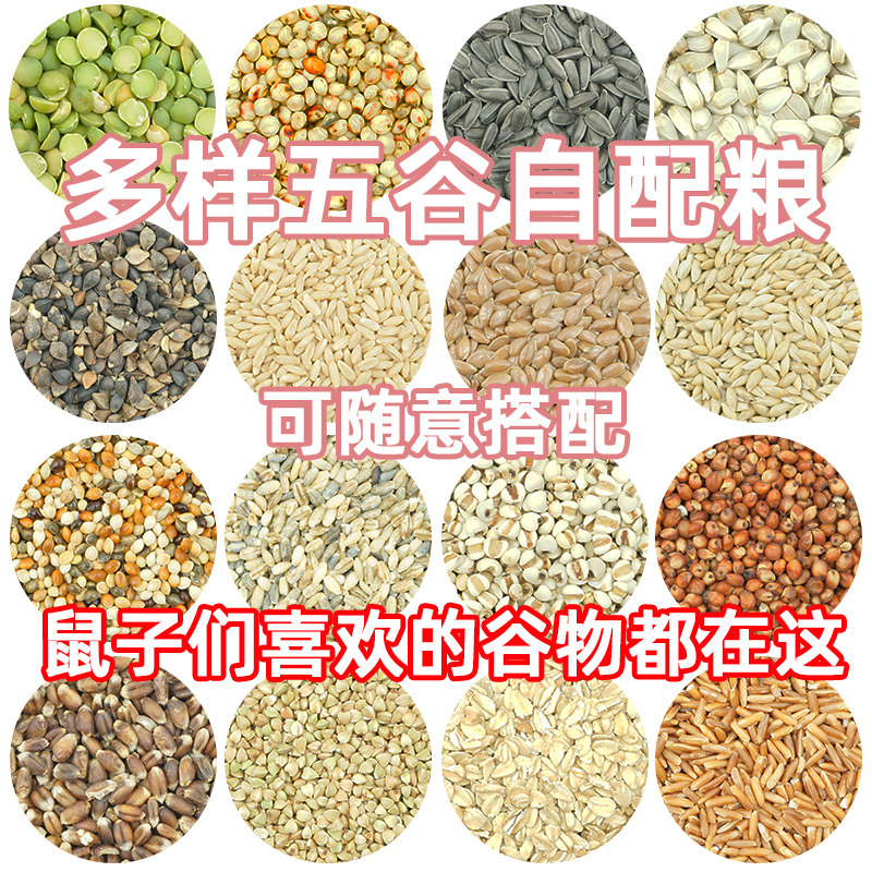 自选diy仓鼠粮自配粮金丝熊五谷粮花枝鼠粮综合美毛营养磨牙食物