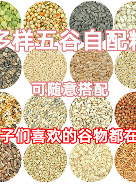 仓鼠自配粮食金丝熊侏儒鼠粮
