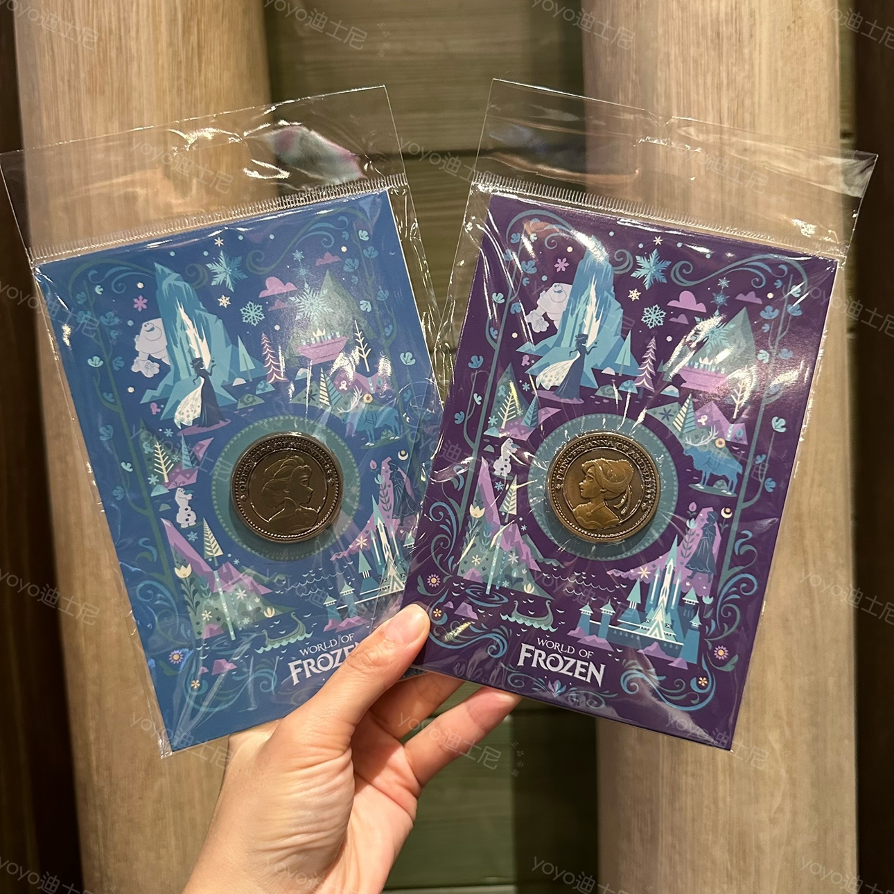 香港迪士尼乐园 2023冰雪奇缘艾莎安娜公主 卡通收藏徽章交换pin