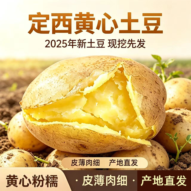 甘肃定西黄心土豆农家现挖新洋芋高原种植粉糯沙面新鲜马铃薯