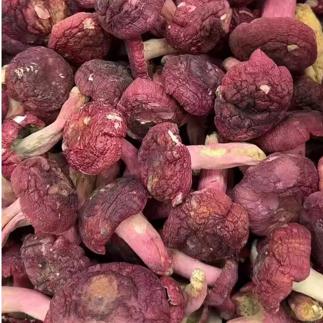 新货广西特产藤县象棋野生红菇红菌香菇补虚干货煲汤料滋补食用菌
