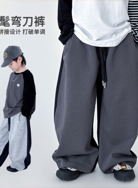 男童裤子春秋装2026新款儿童长裤时髦弯刀裤大童宽松双拼运动卫裤