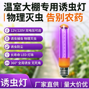 紫光灯诱虫灯蝼蛄诱蚊灭虫专用户外农用鱼塘果园茶园养殖场黑光灯