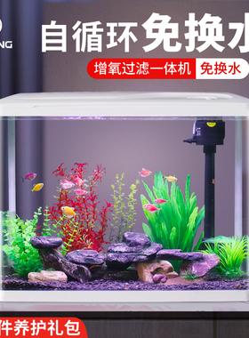 2025新款玻璃缸金鱼缸过滤制氧一体机小型客厅家用桌面生态水族箱