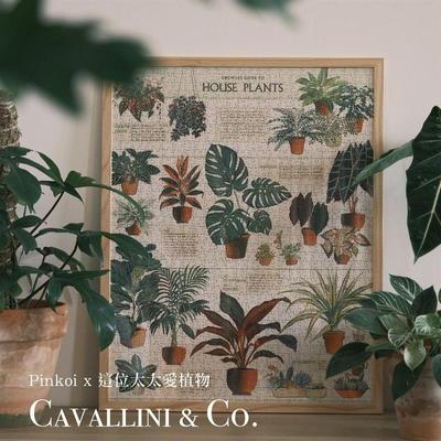 国产高级Cavallini拼图植物园美式复古puzzle成人木制1000片拼图