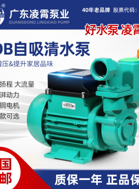 凌霄水泵1DZB-35/45/65抽水机自来水井水抽水220V自吸清水增压泵