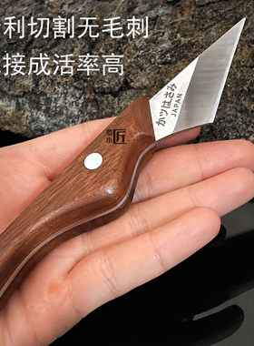 进口M2高速钢嫁接刀右手