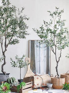 ins北欧彷真绿色植物盆栽橄榄树落地大型植物家居室内彷真装饰假