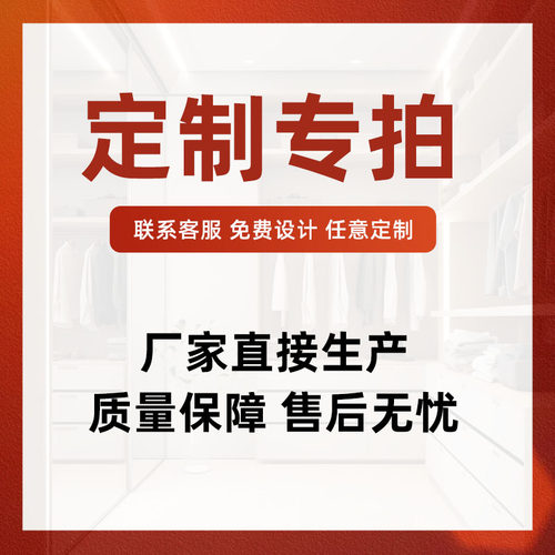定制产品专拍链接 100元拍100个 拍之前请