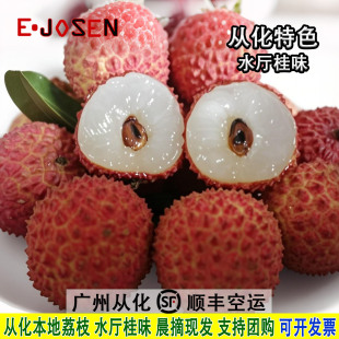 顺丰空运】从化新鲜荔枝锦洞水厅桂味老树清甜时令水果晨摘现发