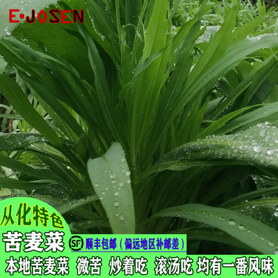 E-JOSEN从化苦麦菜时令农家菜