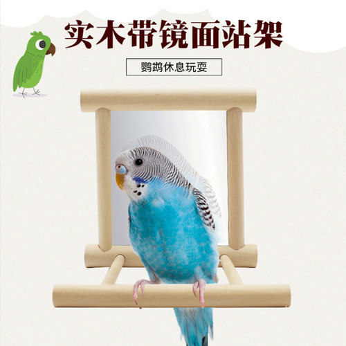 鹦鹉八哥玩具镜子虎皮鸟笼配件