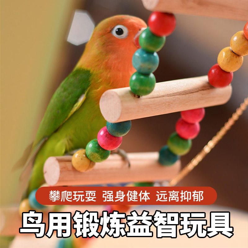 小鸟玩具鸟活体彩色珠子秋千云梯