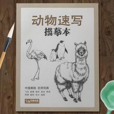 动物速写 描摹本 国画绘画白描线描飞禽走兽飞鸟家禽昆虫猛兽等