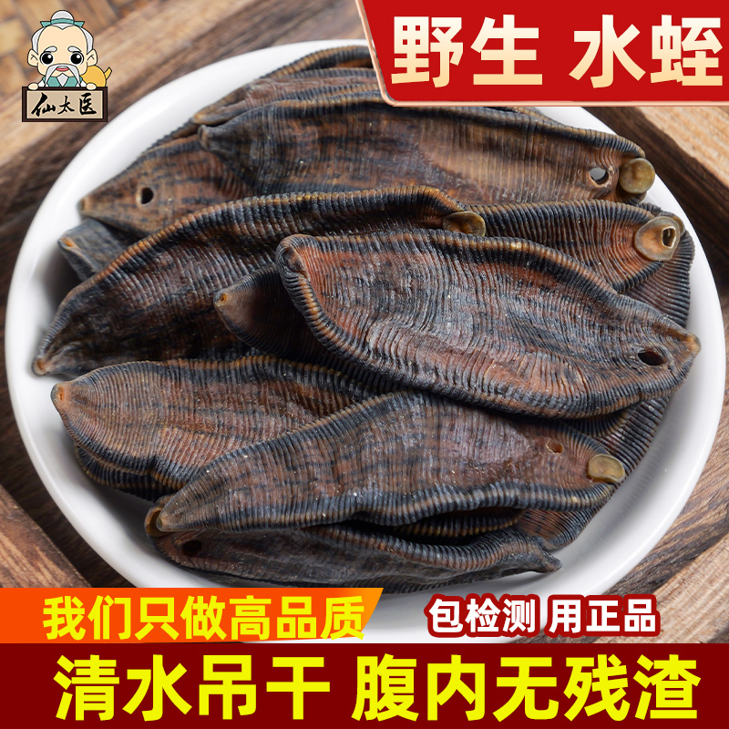 水蛭仙太医无盐蚂蝗中药材