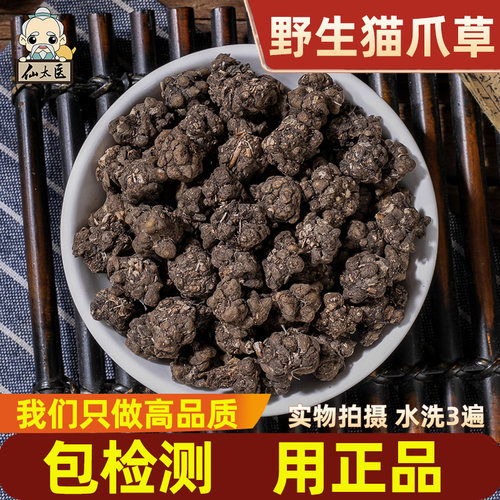 猫爪草野生500克散结汤药材