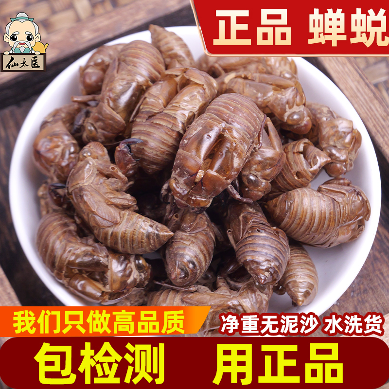 仙太医蝉蜕中药材100克蝉蜕壳爬拉狗虫退知了皮蝉衣水洗退蝉蜕粉