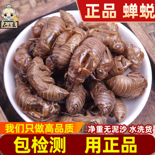 仙太医蝉蜕中药材100克蝉蜕壳爬拉狗虫退知了皮蝉衣水洗退蝉蜕粉