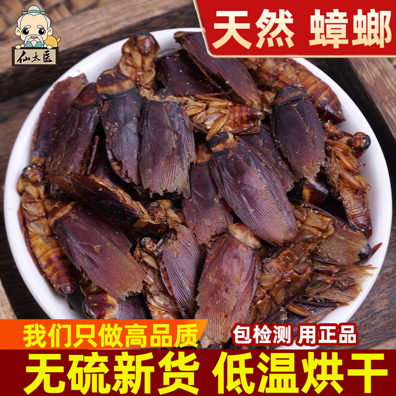 仙太医蟑螂中药材500克新货