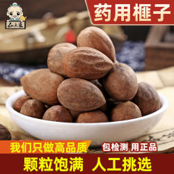 仙太医榧子中药500g生香榧子中药材玉山果赤果玉榧香榧药用新货