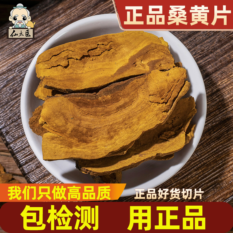桑黄中药材100g克长白山野生桑黄针层孔菌桑黄菇桑臣灵芝茶可磨粉