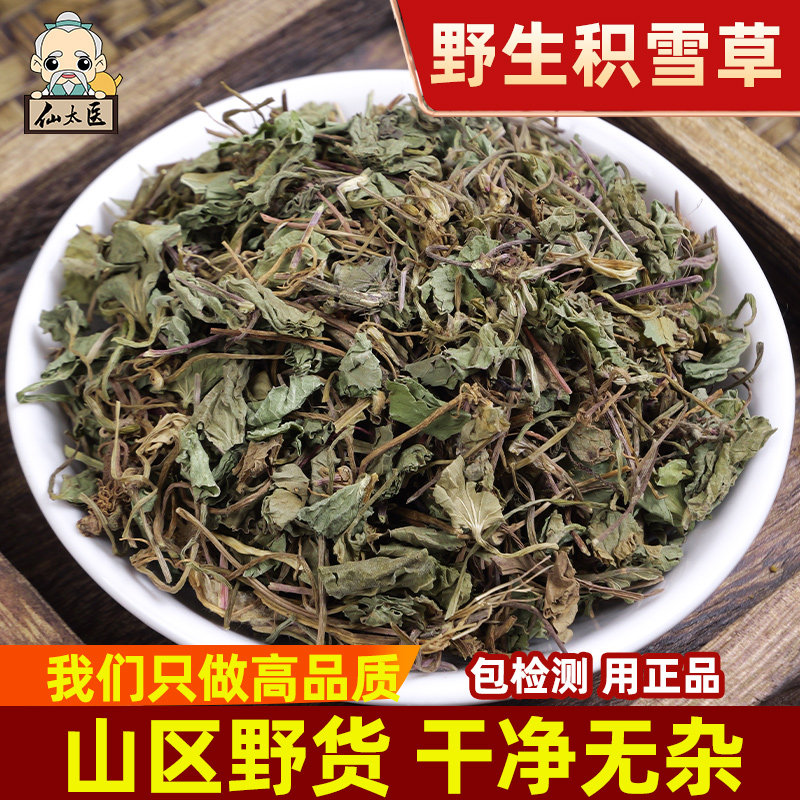 野生积雪草中药材500g中草药雷公根马蹄草崩大碗