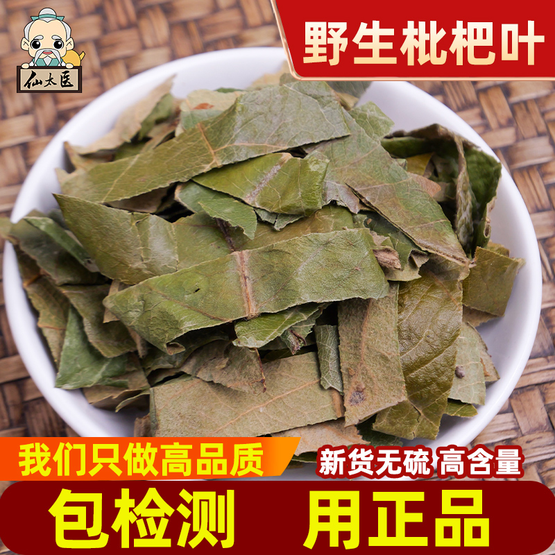 仙太医野生中药材无硫枇杷叶500g