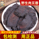 新疆野生肉苁蓉中药材500g肉质肉苁蓉大云大芸正品 软肉苁蓉