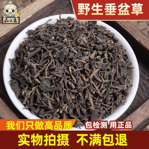 仙太医精选野生中药材垂盆草500g