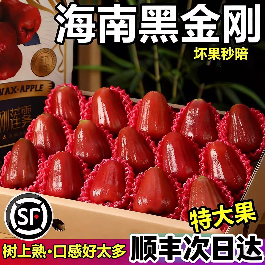 【顺丰空运】5斤海南黑金刚莲雾仙女水果当季现摘新鲜精品莲雾