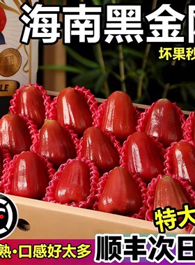 【顺丰空运】5斤海南黑金刚莲雾仙女水果当季现摘新鲜精品莲雾