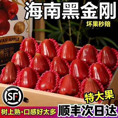 【顺丰空运】5斤海南黑金刚莲雾仙女水果当季现摘新鲜精品莲雾