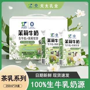 【新日期】天太茉莉雪芽牛奶 250ml*24盒儿童学生早餐奶批发