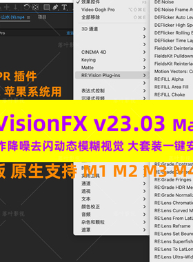 Mac新版慢动作降噪动模糊视觉套装AEPR插件REVisionFX v23.03合集