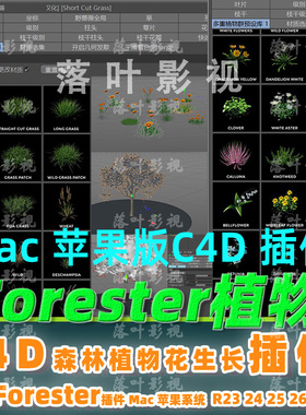 新Mac苹果版R23-2023 c4d植物插件 Forester插件c4d森林植物插件