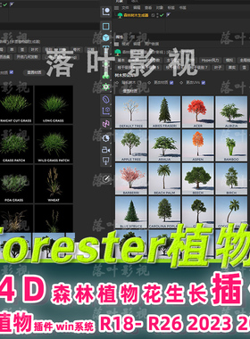 R18-2024 c4d植物插件 Forester插件c4d森林植物生长插件仅限win