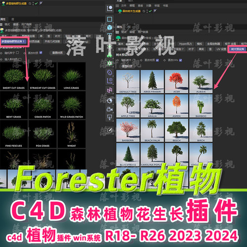 R18-2024 c4d植物插件 Forester插件c4d森林植物生长插件仅限win
