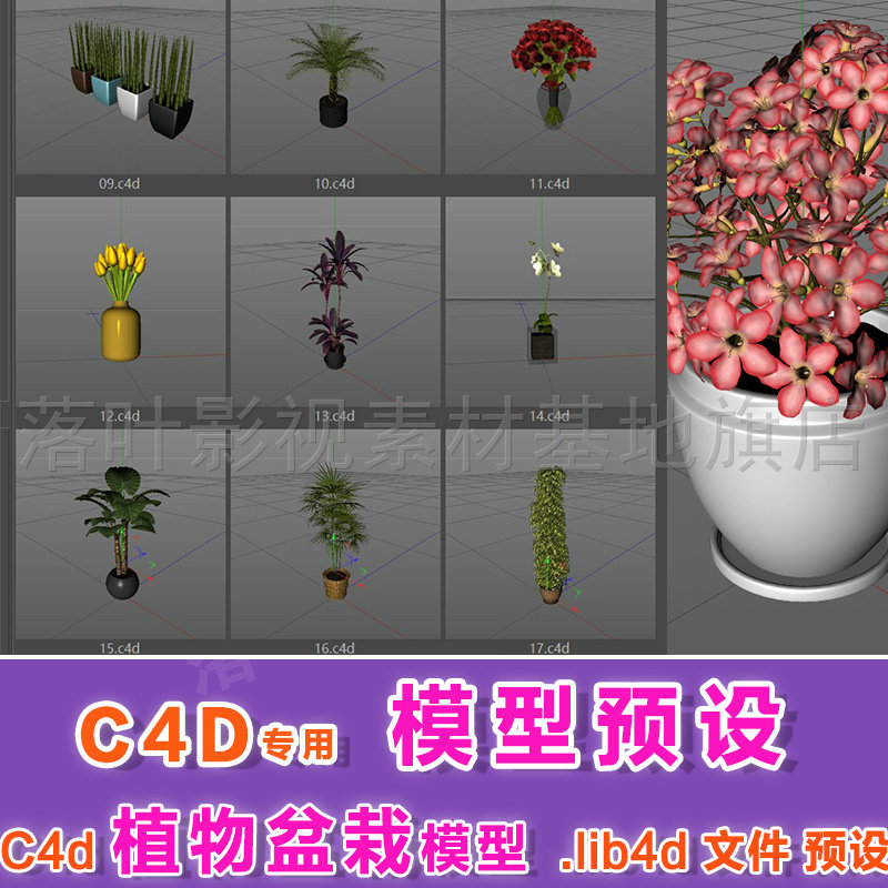m18-  c4d模型预设 .lib4d  20套C4D植物盆栽模型 普通精度带帖图