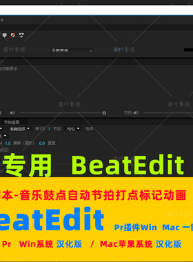 (d62)Pr脚本-pr BeatEdit Pr音乐鼓点自动节拍打点标记动画汉化版