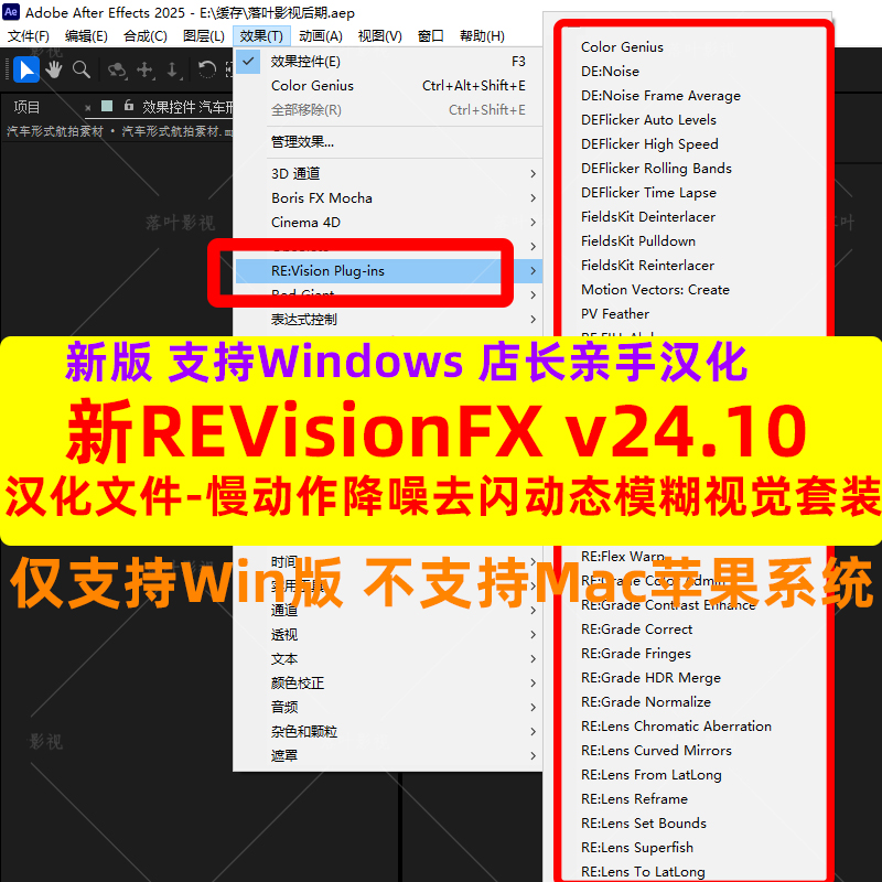 新Win版REVisionFX 24.10慢动作降噪动态模糊套装AEPR插件汉化版