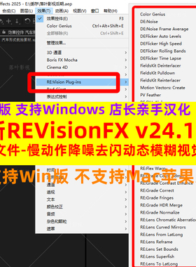 新Win版REVisionFX 24.10慢动作降噪动态模糊套装AEPR插件汉化版